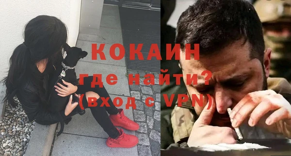 крисы Алексин