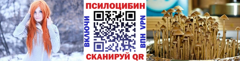 Галлюциногенные грибы Psilocybine cubensis  Снежногорск 